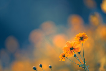 高考常考文学常识归纳有哪些？