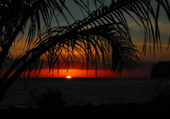 中国古代的百科全书是指什么？