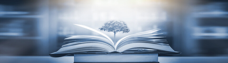 如果狗狗死去。要怎么处理。