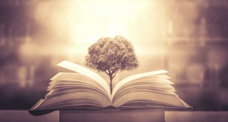 中国中医药现代远程教育杂志是核心期刊吗？