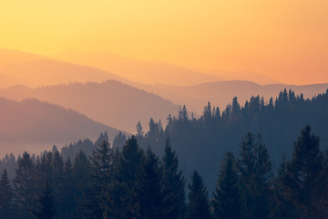 中国古代的百科全书是指什么？