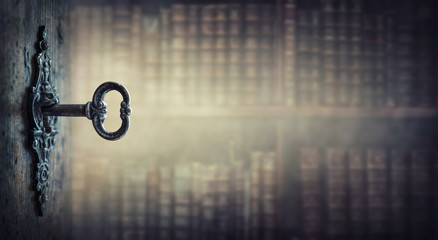 如果狗狗死去。要怎么处理。