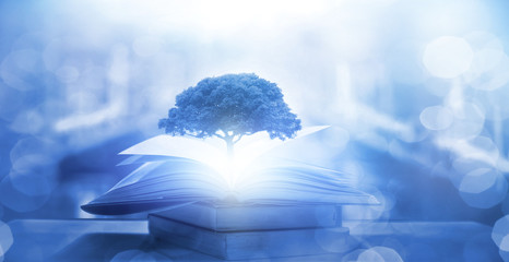 南方秋季养生喝的六款汤