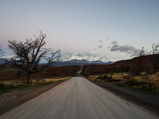 中国十大专家排名