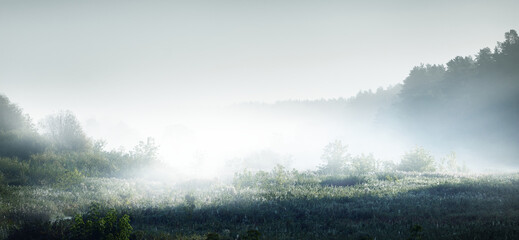 中国十大专家排名