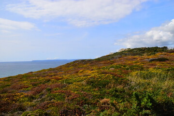 中国古代的百科全书是指什么？