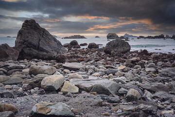 中国十大专家排名