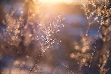 桂林理工大学是学什么专业