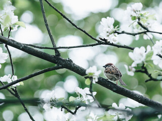 南方秋季养生喝的六款汤
