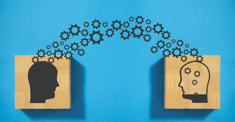 中国十大专家排名