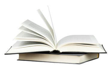 中国十大专家排名