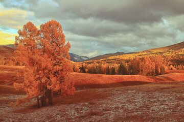 中国十大专家排名