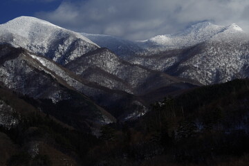 国内零售业的优势在哪里