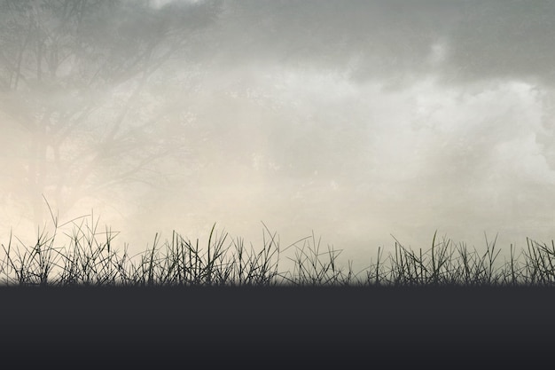 福临门三江宴米5公斤代号