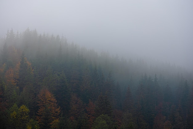 福临门三江宴米5公斤代号