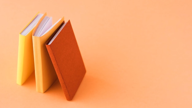 中国古代的百科全书是指什么？