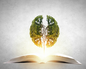 如果狗狗死去。要怎么处理。