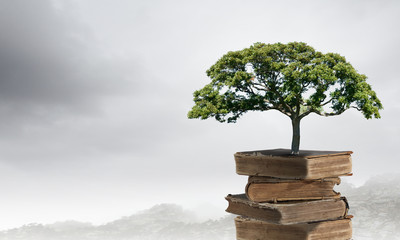 海南岛海水养殖对海岸带地质环境的影响