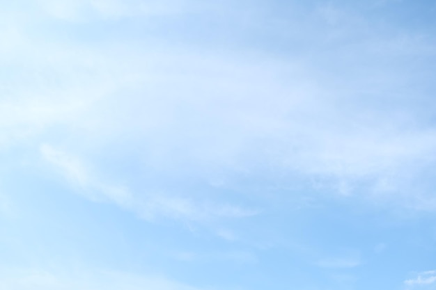 中国十大专家排名