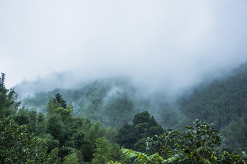 中国古代的百科全书是指什么？